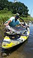 Fishing kayak FeelFree Lure with shark