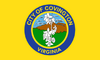 Flag of Covington, Virginia