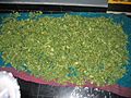 GntGongura2