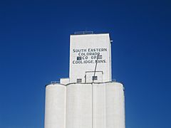 Grain elevator, Coolidge, KS IMG 5815