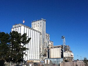 Grain elevator in Petaluma, California