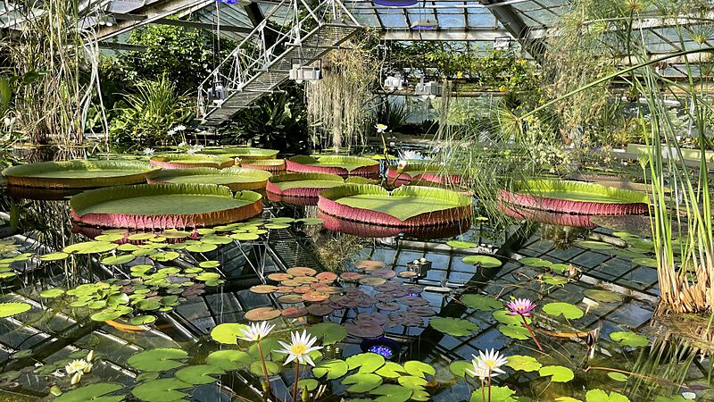 Greenhouse 28. Victor Greenhouse