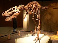 Jane Tyrannosaurus.jpg