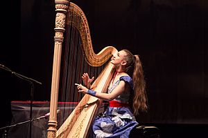 Joanna Newsom performs at the Orpheum Theatre