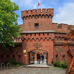 Kaliningrad 05-2017 img13 Amber Museum