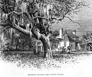 Kingsley Plantation etching 1878
