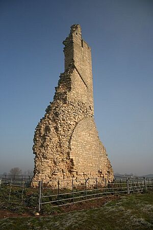 Kirkstead Abbey ruin - geograph.org.uk - 694757