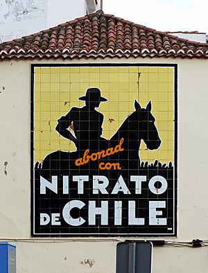 La Palma Santa Cruz Nitrato de Chile R01
