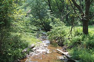 Little Brier Run 1