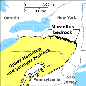 Marcellus Bedrock