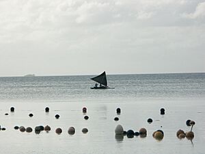 Marshall Islands PICT0943 (4776559907)