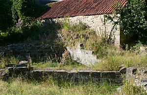 Melbourne Castle ruins 2