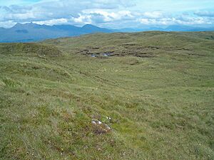 Moorland - geograph.org.uk - 194555