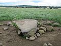 Nether Coullie Recumbent Stone Circle (2) (geograph 5501900).jpg