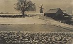 Ockley Mill 1909.jpg