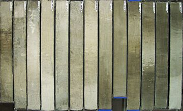 PS2492-2 0-1298 sediment-core hg