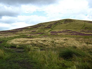 Path up to Lost Lad hill - geograph.org.uk - 1465150.jpg