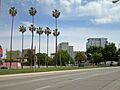 Pellier park san jose