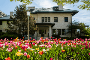 Piper hall tulips.png