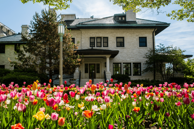 Piper hall tulips