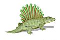 Platyhystrix BW
