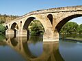 Puente la Reina - Pont romànic 02