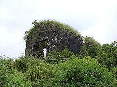 Purandar Fort 09