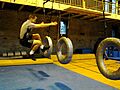 Rea Hanging Tire