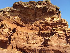 Red sandstone, Hilbre Island