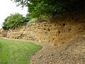 Rockhall Wood Pit, Sutton 7