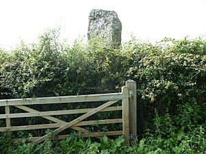 Samson's Jack standing stone on Gower - geograph.org.uk - 2538017