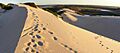 SandDunesSutherlandShire