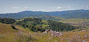 Scenic view of Santa Teresa County Park. (38270510231)