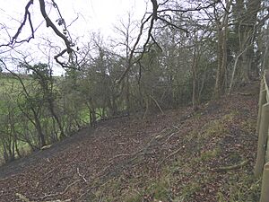 Sheep's Bank (1)