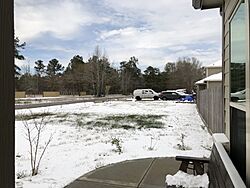 Snowfall in New Caney, Texas (2025-01-21)