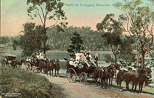 StateLibQld 1 106020 Picnic at Enoggera Reservoir, Brisbane