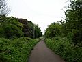 Sustrans Route 66 - St. Nicholas Fields - geograph.org.uk - 170032