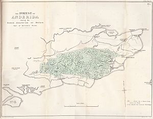 The Forest of Anderida during the Roman Occupation of Britain
