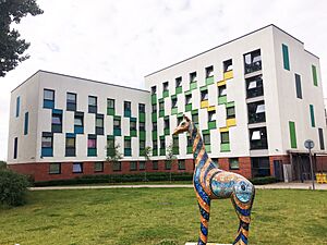 The Meadows student accommodation at University of Essex