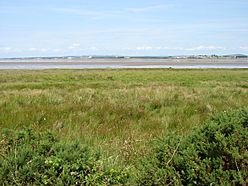 The Solway Firth at Campfield Marsh - geograph.org.uk - 3590858.jpg