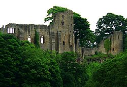 The castle at Barnard Castle - by Francis Hannaway