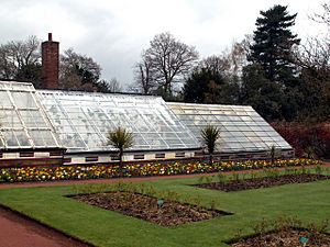 The walled garden greenhouses - geograph.org.uk - 768287
