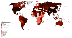 Tomato production in 2017
