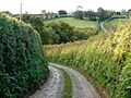 Track to Haydon Farm, North Tamerton - geograph.org.uk - 1005051