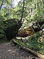 Trail along sandstone formations at Turkey Run State Park, Indiana