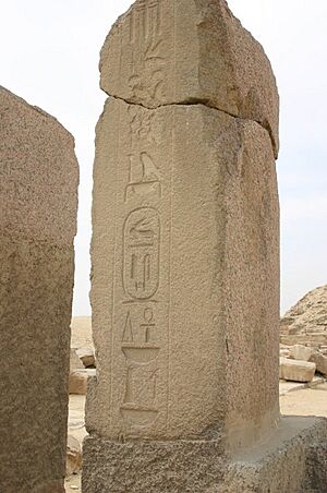 Unas stelae