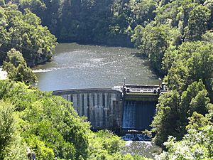 Waipori River dam, New Zealand