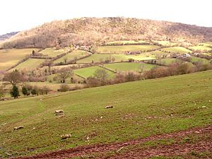 Wenallt - geograph.org.uk - 148605