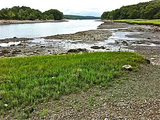 Weymouth Back River from shore Great Esker Park (esker on right) end July 2012.jpg