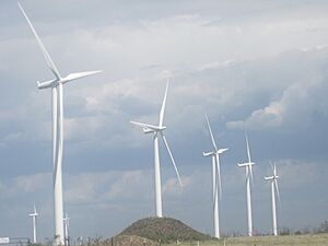 Wildorado Wind Ranch, Oldham County, TX IMG 4919